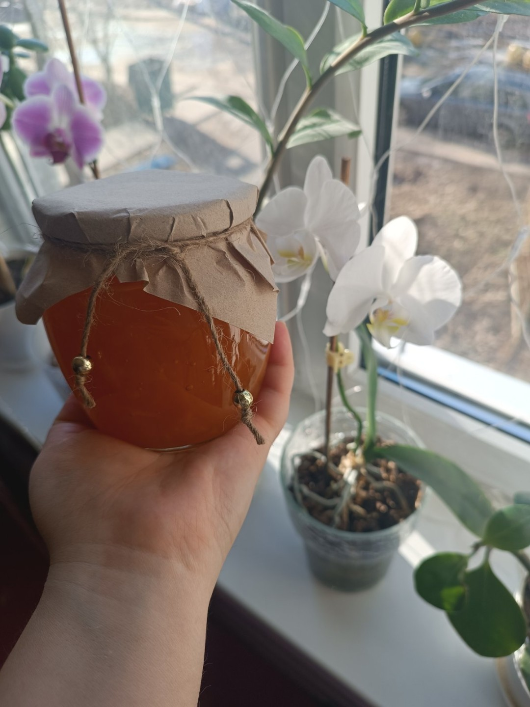 Варенье тыквенно-апельсиново-лимонное, 130 мл фото 2